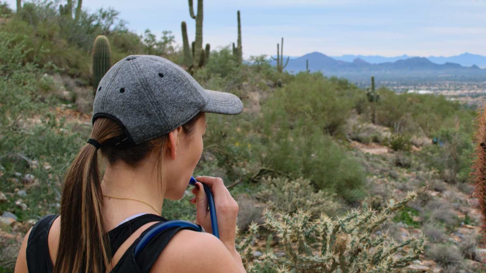 Top Hiking Trails In Scottsdale For Nature Lovers Scottsdale S Best